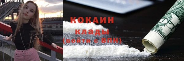 твердый Абаза