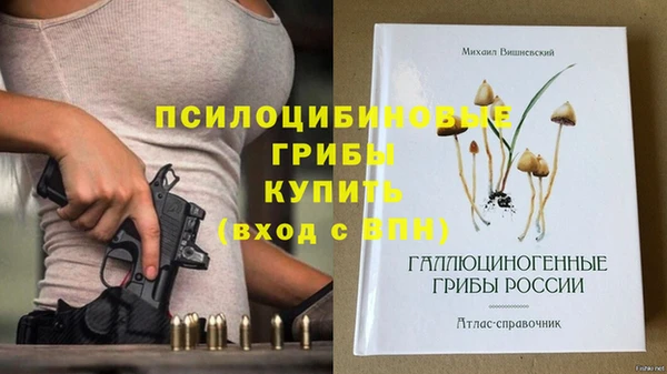 ALPHA PVP Покачи