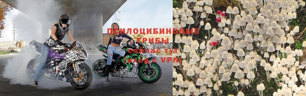ALPHA PVP Покачи