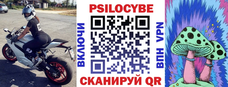 Галлюциногенные грибы Psilocybe где продают наркотики ОМГ ОМГ Белый